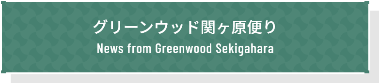グリーンウッド関ヶ原便り　News from Greenwood Sekigahara